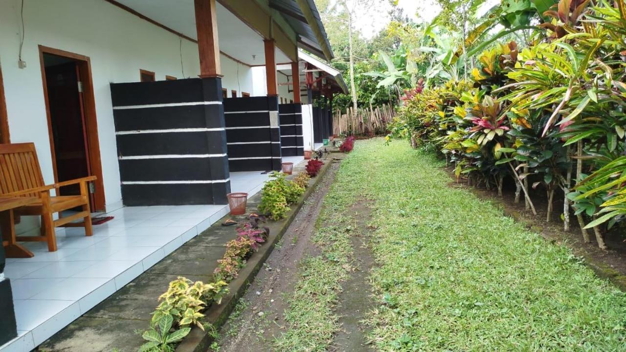 Tatasya Homestay Senaru Luaran gambar